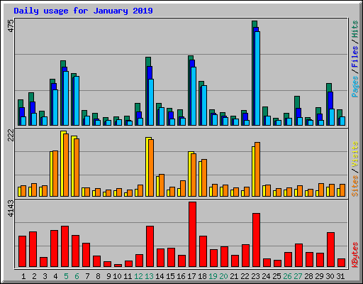 Daily usage for January 2019
