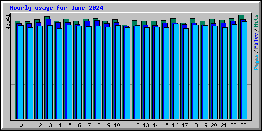 Hourly usage for June 2024