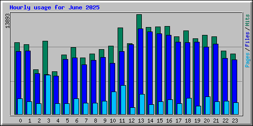 Hourly usage for June 2025
