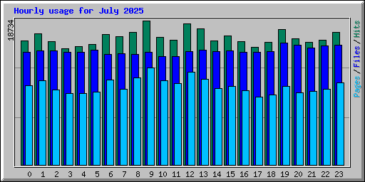 Hourly usage for July 2025