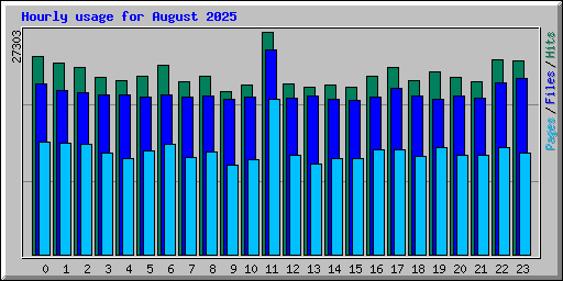 Hourly usage for August 2025