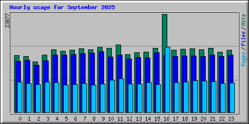 Hourly usage for September 2025