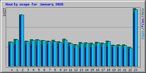 Hourly usage for January 2026
